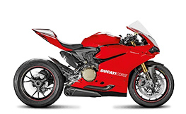 Panigale R