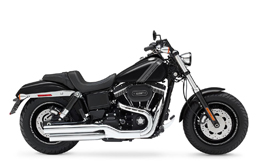 FXDF 1690 Fat Bob 12-17