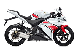 YZF 125 R 08-13