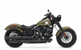 FLSS 1802 Softail Slim S ABS 16-17