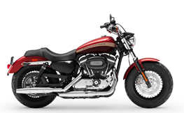 XL 1200 C Sportster CA, CB, CP Custom 14 - 19