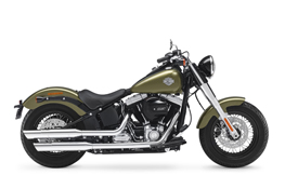 FLS 1690 Softail Slim 15-17