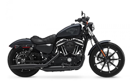 XL 883 N Sportster Iron 14-18