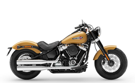 FLSL 1750 Softail Slim ABS 18-